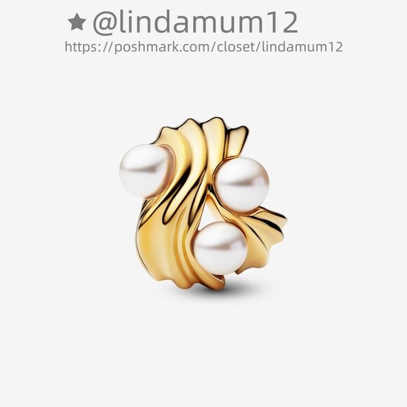 Pandora Abstract Waves Charm - Picture 2 of 6